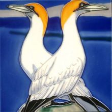 Gannet 8x8