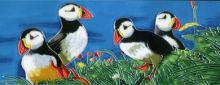 Puffins 6x16