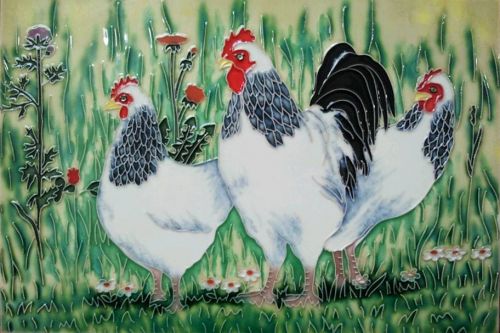 Light Sussex Chickens 8x12