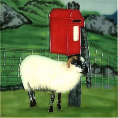 Sheep Shelter 8x8